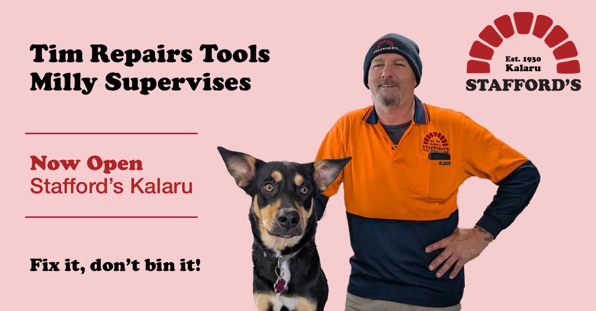 Tim from Stafford’s Tool Repair stands beside Milly the dog in front of a pink background. The image promotes the new tool repair service at Stafford’s Kalaru, with bold text reading 'Tim Repairs Tools, Milly Supervises' and 'Fix it, don’t bin it!' along with the Stafford’s logo.